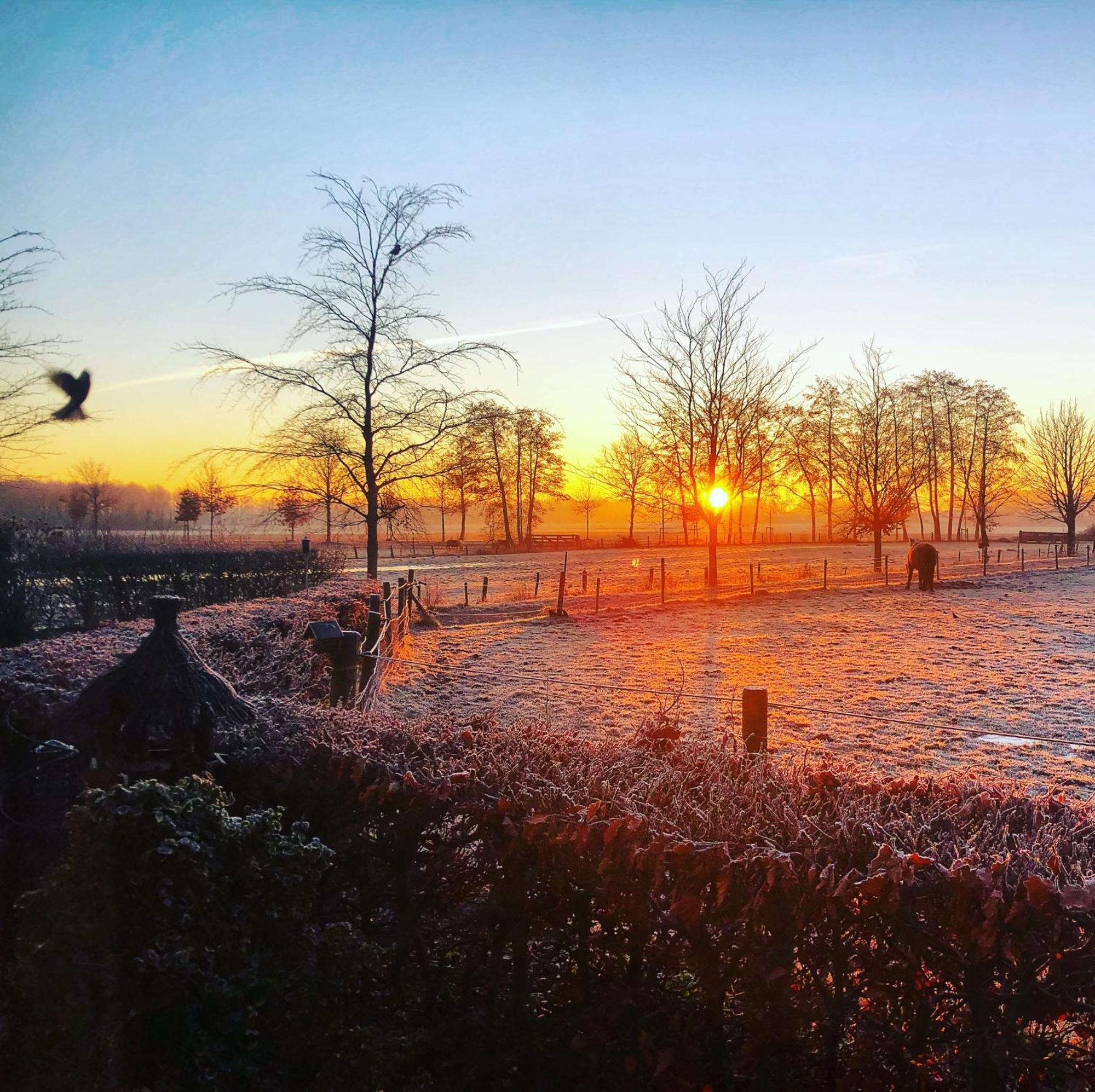 B&B Zandhuizen Dış mekan fotoğraf